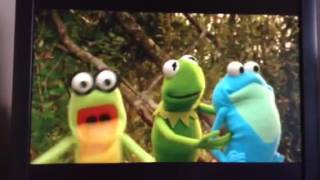 Kermits Swamp Years Frogs Fighting Frogs Widescreen [upl. by Ydnahs]