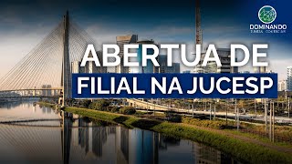 Abertura de Filial no sistema integrador VRE Jucesp [upl. by Anilak615]