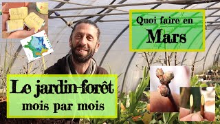 Jardin forêt en permaculture Les activités du mois de Mars [upl. by Ahsinak]