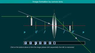 Image formation  Convex Lens  Animation  Simulation [upl. by Ellenig]