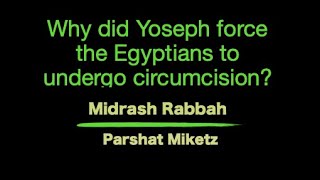 Miketz Why did Yoseph force the Egyptians to undergo circumcision [upl. by Elenaj]