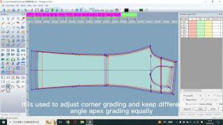 Richpeace Garment CAD V100Keep Angle Apex Grading Tool [upl. by Willtrude73]