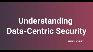 Understanding DataCentric Security  Seclore [upl. by Tamar]