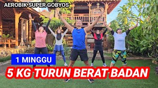 AEROBIK PENURUNAN BERAT BADAN SUPER CEPAT [upl. by Nnylrahc140]