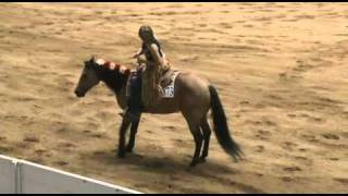 Bridleless Freestyle Reining [upl. by Elram]