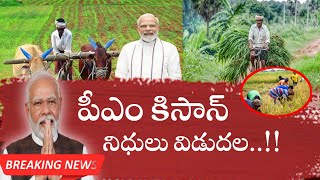 pm Kisan 2024  pm Kisan latest updates  pm Kisan latest news  pm Kisan [upl. by Curnin]