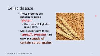 Celiac Disease A Fairly Advanced Lecture for Primary Healthcare Providers [upl. by Akemaj746]