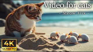 No Ads 3 Hours Of Cute White Mouse Playing 🐭 Cute White Mice in Nature for Curious Cats 🐱 Meow Flix [upl. by Hernando]