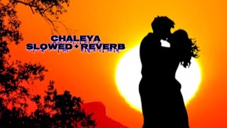 CHALEYA SLOWED  REVERB [upl. by Leahicm]