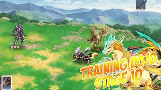 Training Dojo Stage 10 Evertale [upl. by Ellenahc]