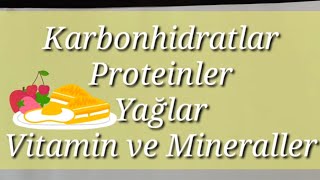 4Sınıf Fen bilimleri 2üniteBesinlerimiz ve özelliklerikarbonhidratyağvitamin mineral protein [upl. by Beichner]