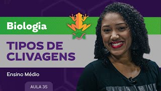 Tipos de clivagens  Biologia  Ensino Médio [upl. by Nelle811]