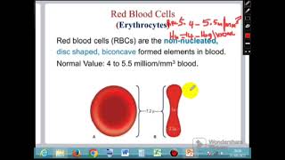 Module 3b  Blood Physiology Part 2 [upl. by Hayifas894]