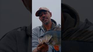 Session de pêche sur lac de Biscarrosse avec christophemaffezzoni et Ludo Chabert  🎣 [upl. by Deedee]