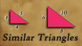 🔴 Similar Triangles Explained  ICSE Class 10 Selina [upl. by Netnilc]