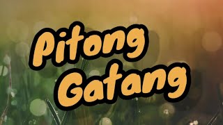 Pitong Gatang [upl. by Altman762]