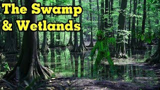 World Building Swamp amp Wetlands [upl. by Orola]