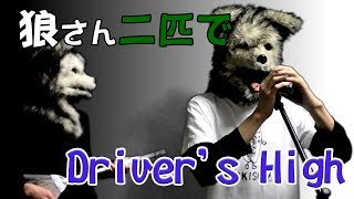 狼さん二匹でDrivers High歌ってみた KYS [upl. by Ahseekat]