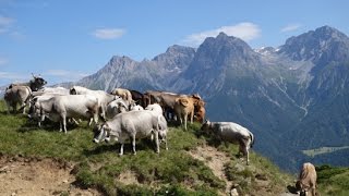 Estive de Scuol Grisons [upl. by Benjie246]