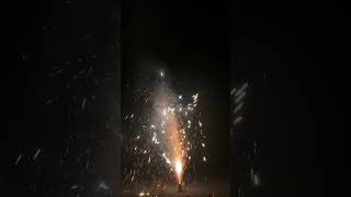 Firecracker Diwali youtubeshorts diwali [upl. by Donatelli]