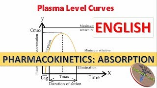 Pharmacokinetics Absorption Bioavailability and Bioequivalence in English [upl. by Larrej605]