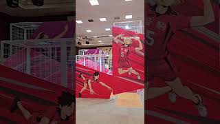 ¡Haikyuu Exibición 🔥 japón anime shorts [upl. by Toma]