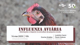 Influenza aviária  orientações e impacto na avicultura de pequena escala [upl. by Enal]