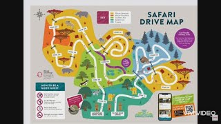 Safari Drive at Knowsley Safari Park Liverpool UK 🇬🇧 🇬🇧  liverpool safari drive driving [upl. by Ravaj]