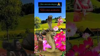 शिव चर्चा भजन Shiv charchaShiv charcha bhajanshortsfeed shortvideo ytshorts ytubeshorts 🙏🙏 [upl. by Hewes766]