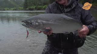 Kitimat Lodge BC Kwikfish Coho [upl. by Kaia]