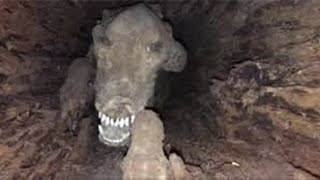 Cave Explorers Discovered Something Terrifying Inside This Ancient Cave [upl. by Foscalina]