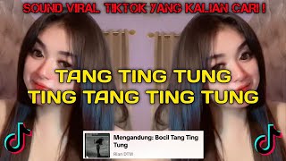 TANG TING TUNG LAGU VIRAL TIKTOK 2024 [upl. by Alet]