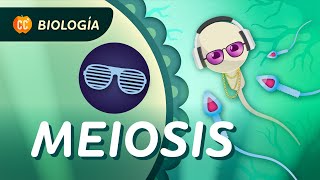 Meiosis ¿Cómo se hacen las células sexuales Crash Course Biología 30 [upl. by Siletotsira]