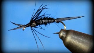 Fly Tying Biot Stonefly Nymph [upl. by Clarance683]