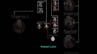 The Targaryen Legacy Family Tree Unveiled [upl. by Adlee]