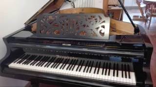 Steinway vs Bösendorfer Chopin Fantasie Impromptu [upl. by Hills]