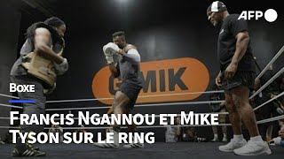 Boxe association poids lourds entre Francis Ngannou et Mike Tyson  AFP [upl. by Denae]