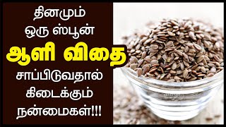 ஆளி விதை பயன்கள்  Flax Seed Benefits in Tamil  How to Eat Flax Seeds Flaxseed Powder Health Tips [upl. by Eibmab]