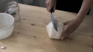 Opening A Coconut amp Making Coconut Water Kefir and Yogurt Part 1 Ep13 [upl. by Cirda]