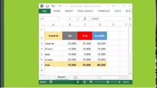 Excel  Copy Sheet [upl. by Hally]