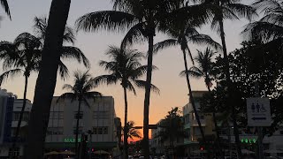 Miami Trip First Time On The Brightline Train [upl. by Anagrom529]