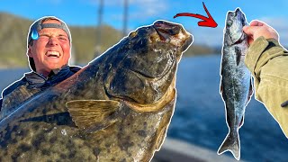 WHAT WILL EAT A BIG BAITFISH IN NORWAY  Team Galant [upl. by Mehalek]