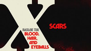 Alkaline Trio  Scars Official Visualizer [upl. by Yanahc50]