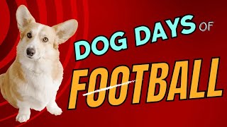 We Give You a Punchers Chance to Guess the NFL Dogs Name🏈🦴 [upl. by Apicella]