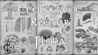 Ecología de Roshar Flora [upl. by Tomasz]