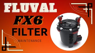 Fluval FX6  Filter Maintenance  Simple amp Easy [upl. by Warram]