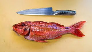 Filleting Goatfish for Sashimi and the BBQ [upl. by Corabella]