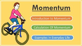 What is Momentum Physics [upl. by Zzaj198]