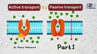 TUT physiology  part 1 Methods of transport  passive transport [upl. by Mccormac]