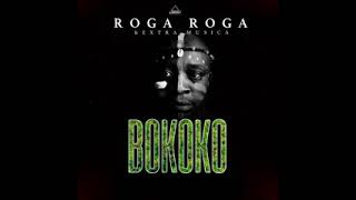 roga roga BOKOKO ft extra musica [upl. by Eirallam]